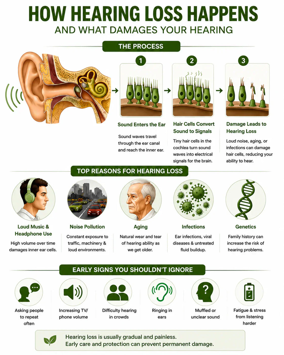 Hearing Loss and Vertigo Causes | Natural Ear Wellness Solutions